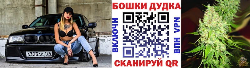Бошки Шишки план  Купить закладки  Железногорск-Илимский 